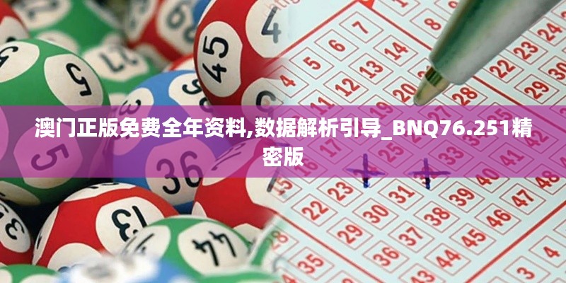 澳門正版免費(fèi)全年資料,數(shù)據(jù)解析引導(dǎo)_BNQ76.251精密版