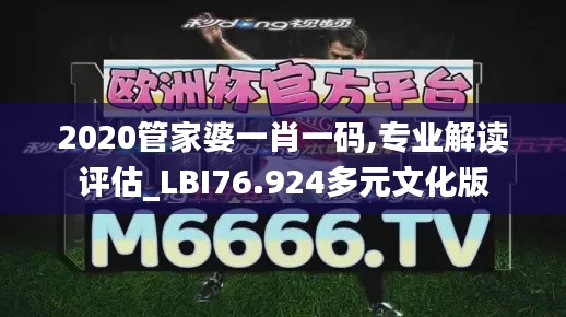 2020管家婆一肖一碼,專業(yè)解讀評(píng)估_LBI76.924多元文化版