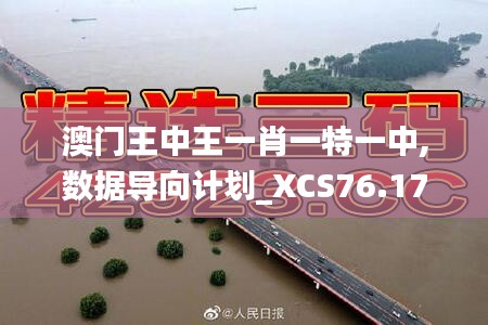 澳門王中王一肖一特一中,數(shù)據(jù)導向計劃_XCS76.176多元文化版