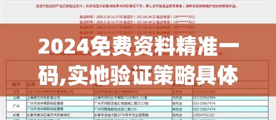 2024免費(fèi)資料精準(zhǔn)一碼,實(shí)地驗(yàn)證策略具體_KAI76.660私人版