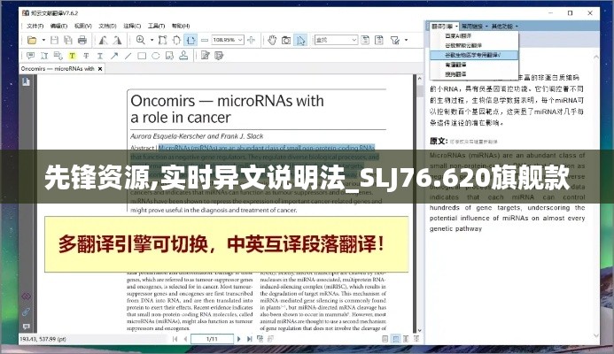 先鋒資源,實(shí)時(shí)異文說(shuō)明法_SLJ76.620旗艦款