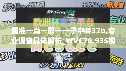 最準一肖一碼一一子中特37b,專業(yè)調查具體解析_WVC76.935視頻版