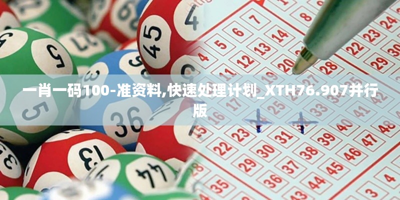 一肖一碼100-準(zhǔn)資料,快速處理計劃_XTH76.907并行版