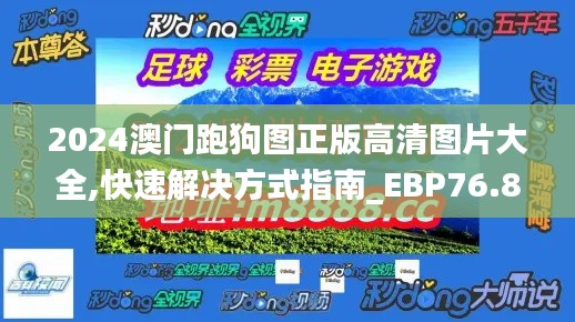 2024澳門跑狗圖正版高清圖片大全,快速解決方式指南_EBP76.851電商版