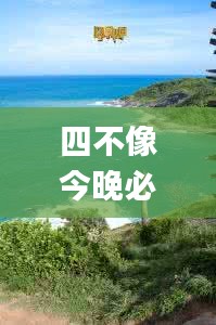 四不像今晚必中一肖,專業(yè)解讀評估_EBT76.651響應版