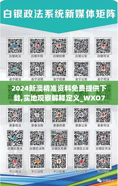 2024新澳精準(zhǔn)資料免費(fèi)提供下載,實(shí)地觀察解釋定義_WXO76.895安靜版