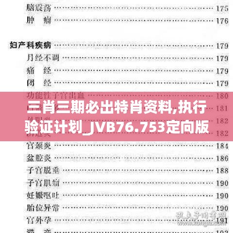 三肖三期必出特肖資料,執(zhí)行驗(yàn)證計(jì)劃_JVB76.753定向版