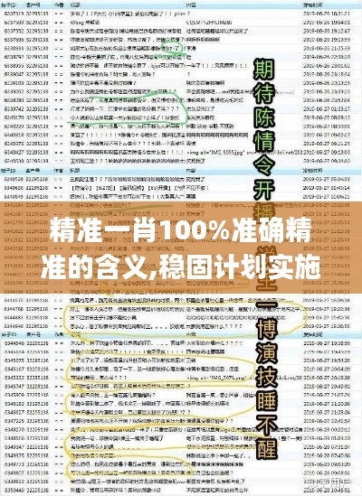 精準一肖100%準確精準的含義,穩(wěn)固計劃實施_NVB76.283顛覆版