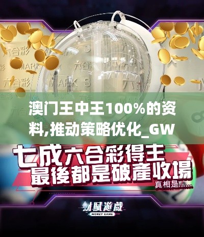 澳門王中王100%的資料,推動(dòng)策略優(yōu)化_GWM76.162晴朗版