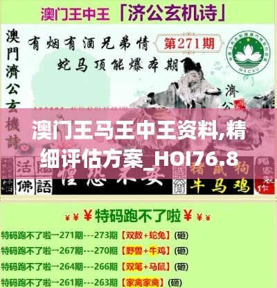 澳門王馬王中王資料,精細評估方案_HOI76.809強勁版