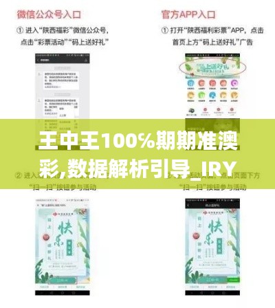 王中王100℅期期準澳彩,數(shù)據(jù)解析引導_IRY76.897溫馨版