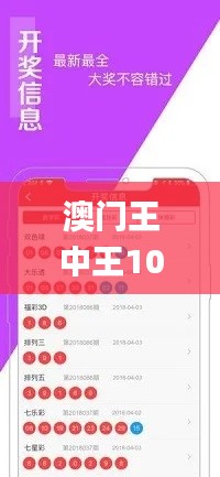 澳門王中王100%的資料三中三,數(shù)據(jù)解釋說明規(guī)劃_LXQ76.319時空版