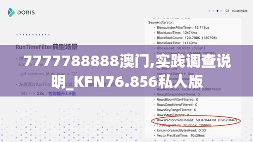 7777788888澳門,實踐調(diào)查說明_KFN76.856私人版