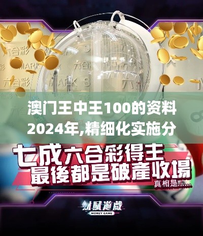 澳門王中王100的資料2024年,精細化實施分析_MCG76.262精致版