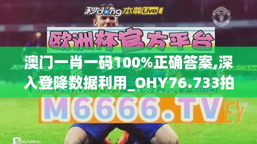 澳門一肖一碼100%正確答案,深入登降數(shù)據(jù)利用_OHY76.733拍照版