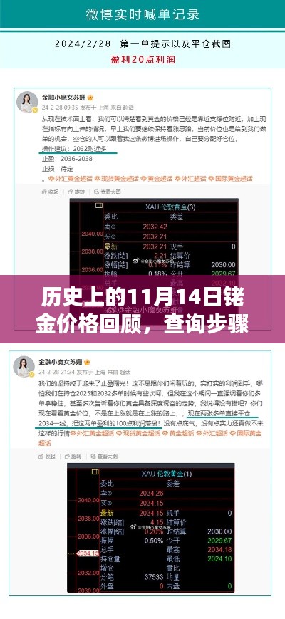 歷史上的11月14日銠金價格回顧，查詢步驟指南與初學(xué)者入門篇