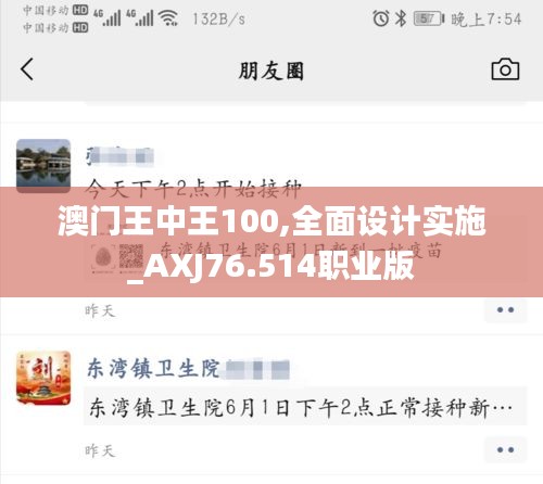 澳門王中王100,全面設(shè)計實施_AXJ76.514職業(yè)版