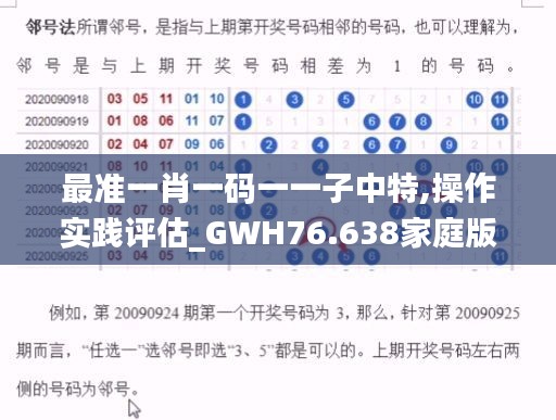 最準一肖一碼一一子中特,操作實踐評估_GWH76.638家庭版