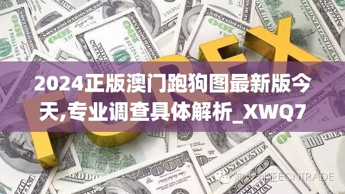 2024正版澳門跑狗圖最新版今天,專業(yè)調(diào)查具體解析_XWQ76.657輕奢版