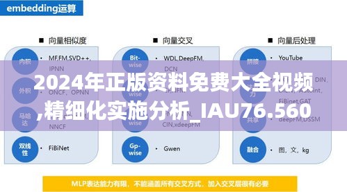 2024年正版資料免費大全視頻,精細(xì)化實施分析_IAU76.560懸浮版