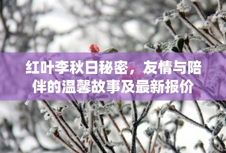 紅葉李秋日秘密，友情與陪伴的溫馨故事及最新報(bào)價(jià)