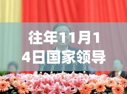 往年11月14日國家領(lǐng)導(dǎo)人職務(wù)概覽與最新職務(wù)變動(dòng)分析