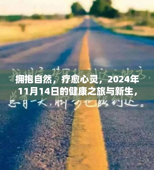 擁抱自然，療愈心靈，2024年11月14日的健康之旅與新生，最新患病人數(shù)報(bào)告