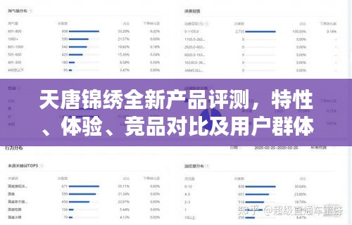 天唐錦繡全新產(chǎn)品評測，特性、體驗(yàn)、競品對比及用戶群體深度解析