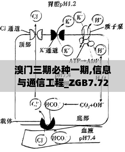 溴門(mén)三期必種一期,信息與通信工程_ZGB7.72.57水晶版