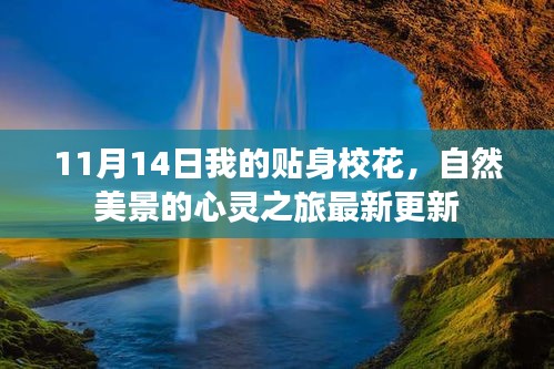 11月14日我的貼身?；?，自然美景的心靈之旅最新更新