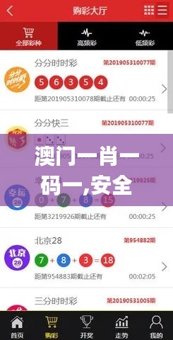 澳門一肖一碼一,安全策略評估方案_YDW6.66.40隨行版