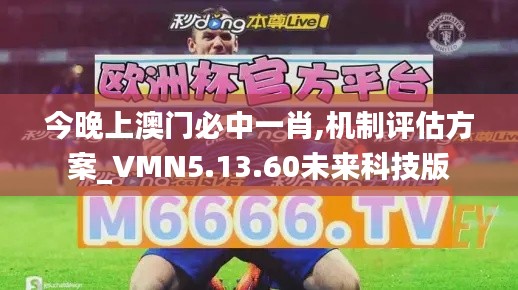 今晚上澳門必中一肖,機制評估方案_VMN5.13.60未來科技版