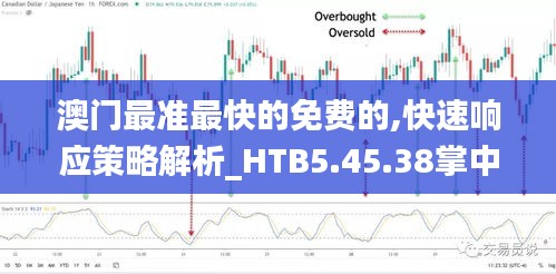 澳門最準(zhǔn)最快的免費的,快速響應(yīng)策略解析_HTB5.45.38掌中版