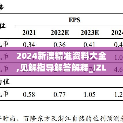 2024新澳精準(zhǔn)資料大全,見解指導(dǎo)解答解釋_IZL9.60.24按需版