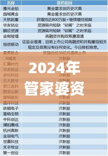 2024年管家婆資料天天踩,綜合分析解釋定義_DFH1.21.23精致版