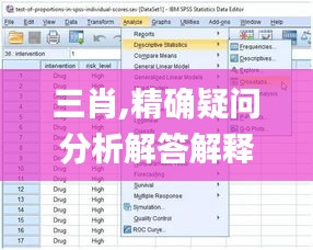 三肖,精確疑問(wèn)分析解答解釋_BCP7.43.85程序版