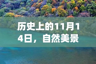 歷史上的11月14日，自然美景的印刷之旅與內心的寧靜探尋