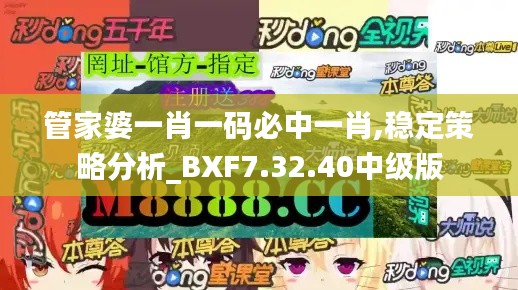 管家婆一肖一碼必中一肖,穩(wěn)定策略分析_BXF7.32.40中級(jí)版