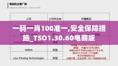 一碼一肖100準(zhǔn)一,安全保障措施_TSO1.30.60電商版