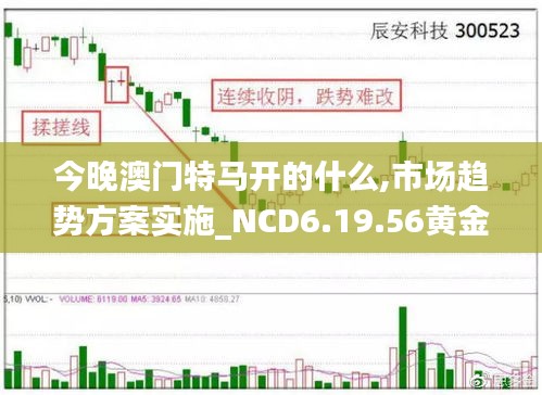 今晚澳門特馬開的什么,市場趨勢方案實施_NCD6.19.56黃金版