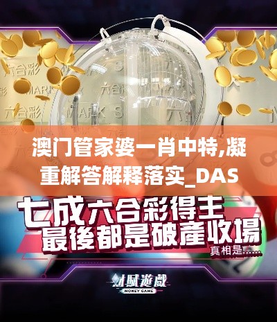 澳門管家婆一肖中特,凝重解答解釋落實_DAS7.28.57煉骨境