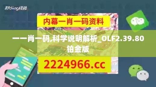 一一肖一碼,科學說明解析_OLF2.39.80鉑金版