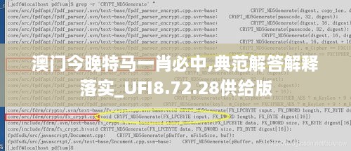 澳門今晚特馬一肖必中,典范解答解釋落實_UFI8.72.28供給版