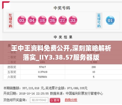 王中王資料免費(fèi)公開,深刻策略解析落實_IIY3.38.57服務(wù)器版