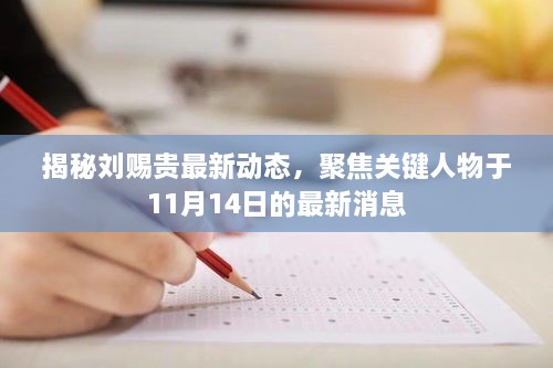 揭秘劉賜貴最新動態(tài)，聚焦關(guān)鍵人物于11月14日的最新消息