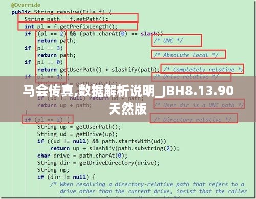 馬會(huì)傳真,數(shù)據(jù)解析說明_JBH8.13.90天然版