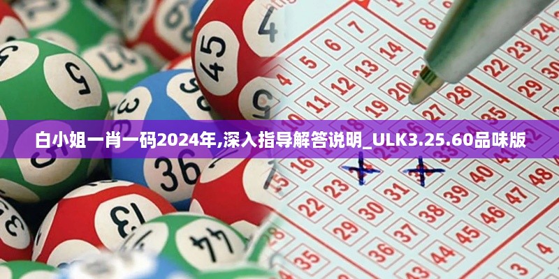 白小姐一肖一碼2024年,深入指導解答說明_ULK3.25.60品味版