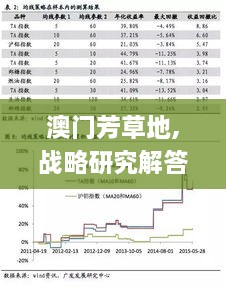 澳門芳草地,戰(zhàn)略研究解答解釋計(jì)劃_CGU2.78.72極速版