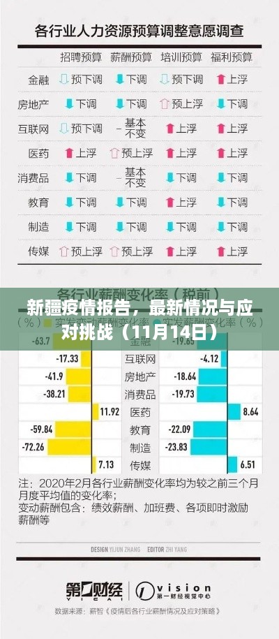 新疆疫情報告，最新情況與應(yīng)對挑戰(zhàn)（11月14日）