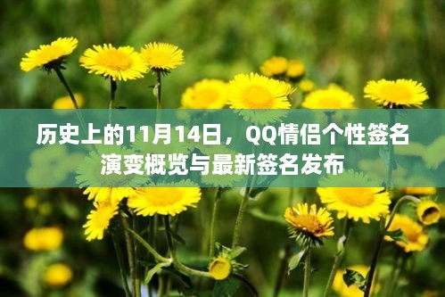 歷史上的11月14日，QQ情侶個(gè)性簽名演變概覽與最新簽名發(fā)布